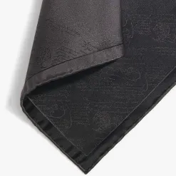 Berluti Pochette D&eacute;grad&eacute;e Scritto | Cravates & Pochettes